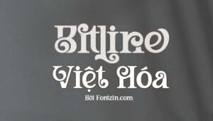Demo Font chữ đẹp Việt hóa Bitline V2