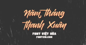 Demo Font viết tay việt hóa Brother ship