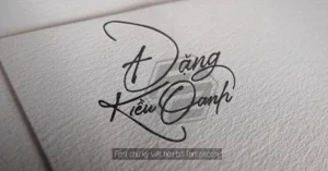 Demo 2 Font chữ ký đẹp Việt hóa Manchester Signature