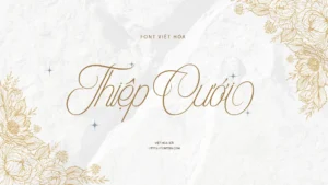 Demo Font thiết kế thiệp cưới việt hóa đẹp LoveBird v1