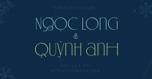 Demo Khám phá font serif việt hóa Gallerya + 75 kí tự