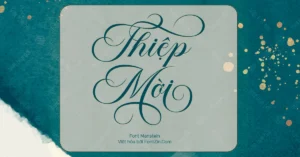 Demo Font luyện viết chữ đẹp Manstein + 23 kiểu đuôi
