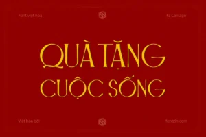 Demo Fz Caniago – Font chữ serif hiện đại và linh hoạt