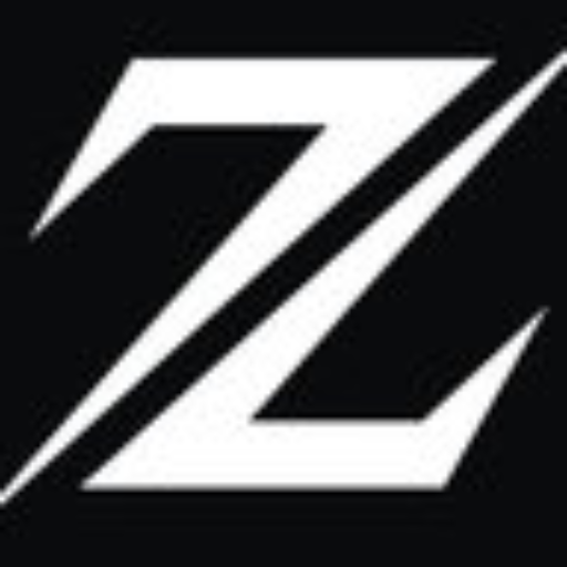 Z VnType